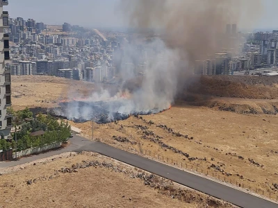 Şanlıurfa'da evin havalandırma boşluğuna düşen 2 yavru kediyi itfaiye kurtardı