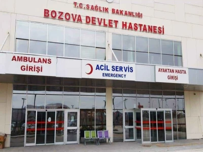 Şanlıurfa'da evin havalandırma boşluğuna düşen 2 yavru kediyi itfaiye kurtardı