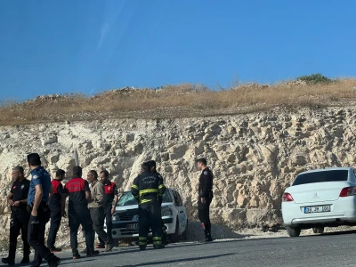 Şanlıurfa'da evin havalandırma boşluğuna düşen 2 yavru kediyi itfaiye kurtardı