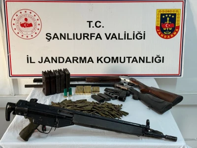 Şanlıurfa'da evin havalandırma boşluğuna düşen 2 yavru kediyi itfaiye kurtardı