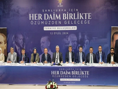 Şanlıurfa'da evin havalandırma boşluğuna düşen 2 yavru kediyi itfaiye kurtardı