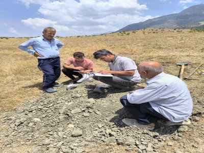 Şanlıurfa'da yaralı kartal tedaviye alındı