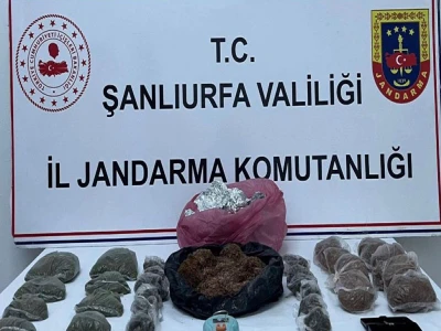 Şanlıurfa'da yaralı kartal tedaviye alındı