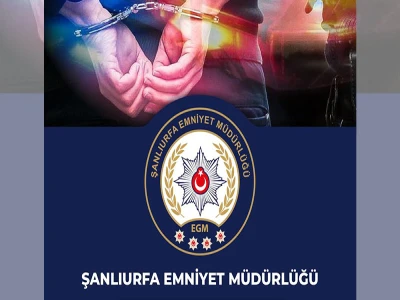 Şanlıurfa'da yaralı kartal tedaviye alındı