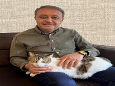 Şanlıurfa’da 27 bin sokak köpeği toplandı, 3 bin 374’ü kısırlaştırılarak ‘Hedefe ulaşıldı’