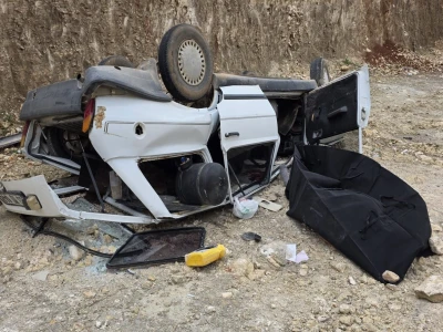 Şanlıurfa'da yaralı kartal tedaviye alındı