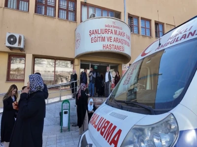 Şanlıurfa'da yaralı kartal tedaviye alındı