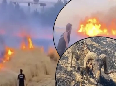 Şanlıurfa’da bir günde 286 yangın vakası: 227’si anız yangını