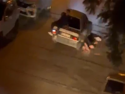 Şanlıurfa'da yaralı kartal tedaviye alındı