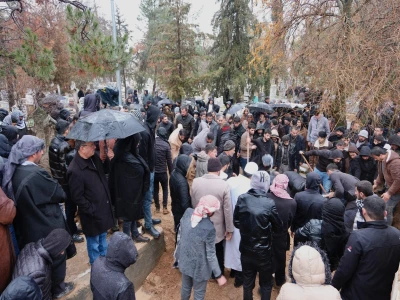 Şanlıurfa'da yaralı kartal tedaviye alındı