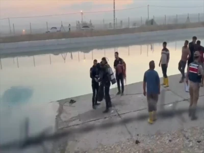 Şanlıurfa'da yaralı kartal tedaviye alındı