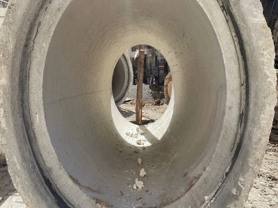 Şanlıurfa'da yaralı kartal tedaviye alındı