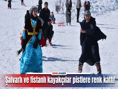 Siverek’te kar yağışı yüksek kesimlerde etkili oldu