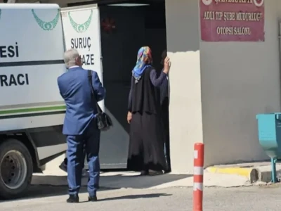 Şanlıurfa'da yaralı kartal tedaviye alındı