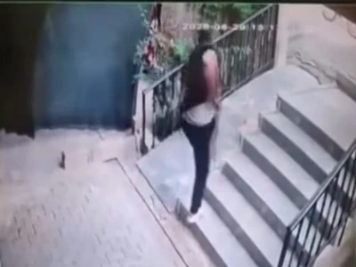 Şanlıurfa'da yaralı kartal tedaviye alındı